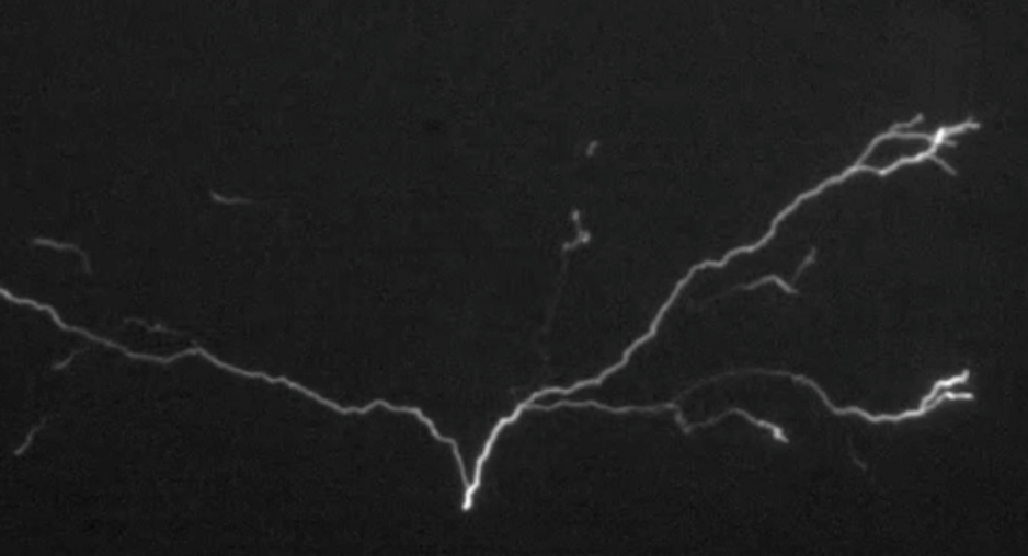 flash